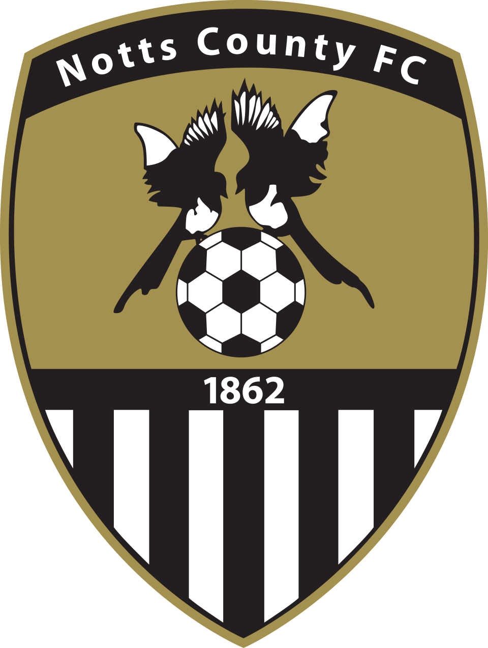 Notts County FC academy logo